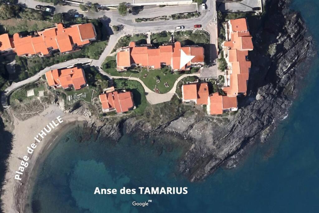Collioure Appart En Bord De Mer Plage A 50M Clim Garage Location Du Samedi Au Samedi Exterior foto